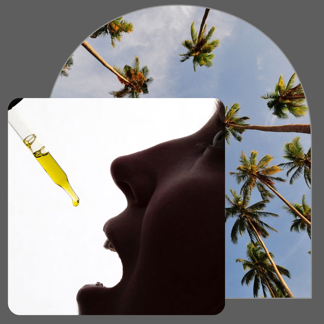4 Differences Between Hemp Oil And CBD Oil-1080x1080-image3